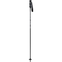 Goode G-Max Classic Ski Poles - Classic Silver