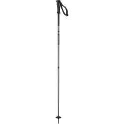 Salomon Arctic Ski Pole - Black