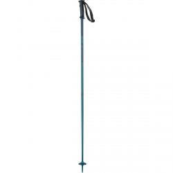 Salomon Arctic Ski Pole - Blue