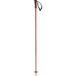 Salomon Arctic Ski Pole - Orange