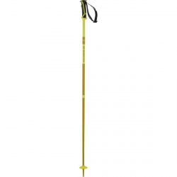 Salomon Arctic Ski Pole - Yellow