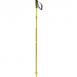 Salomon Arctic Ski Pole - Yellow