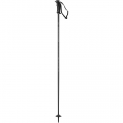 Salomon Arctic Lady Ski Pole - Black/ Grey