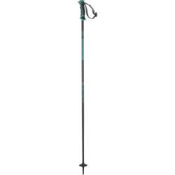 Salomon Arctic Lady Ski Pole - Grey/ Green