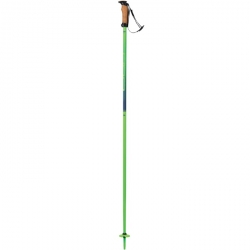 Elan Speedrod Snow Ski Poles - Green