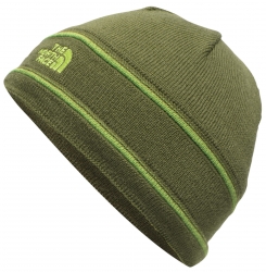 The North Face Youth TNF Logo Beanie - Terrarium Green/ Chive Green