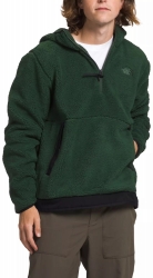 The North Face Men's Campshire Feece Hoodie - Pine Needle / TNF Black